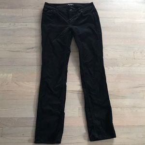 White House Black market velvet pants